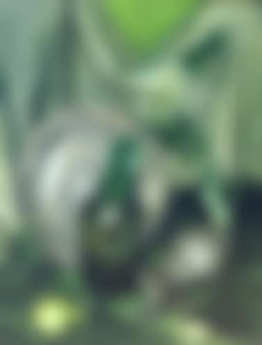 GREENS AND GRAY (preview)