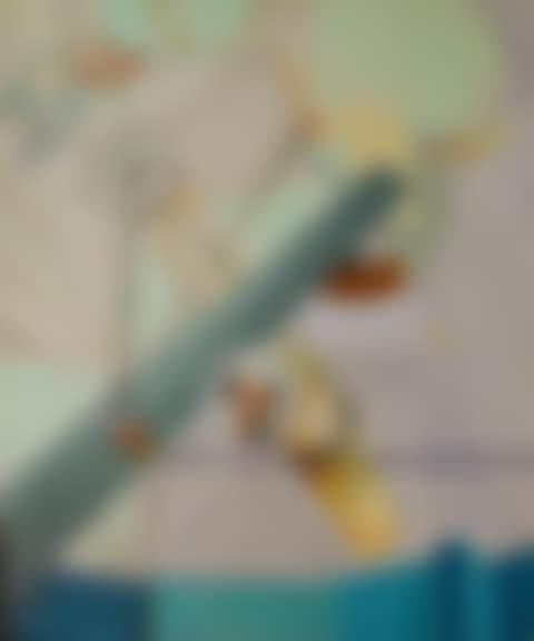 CHAMBRE A PRESSION OSMOTIQUE II (preview)