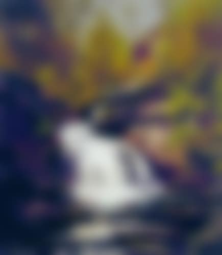 FOREST INTERIOR WITH WATERFALL (preview)