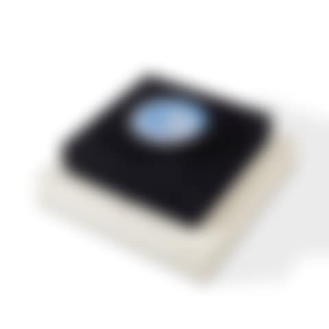 Rotoreliefs (Optical Discs) (Schwarz 441) (preview)