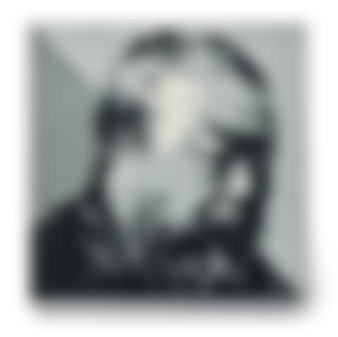 Single Panel Portrait of Ai Wei Wei (preview)