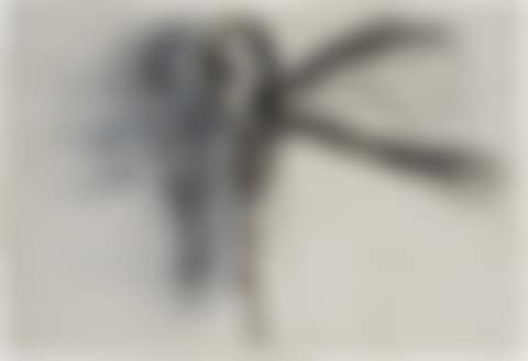 Untitled (Head and Spine) (preview)