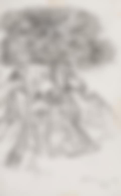 Untitled (Men Under a Tree) (preview)