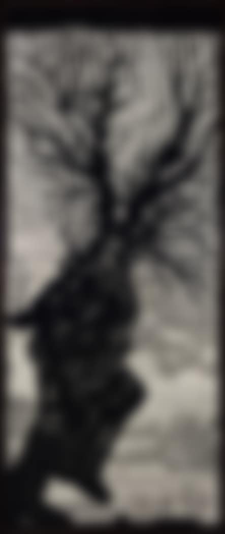 Untitled (preview)
