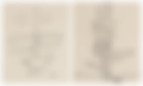 Untitled (Set of Two) (preview)