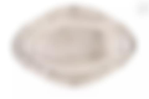 Oval silver dish (preview)