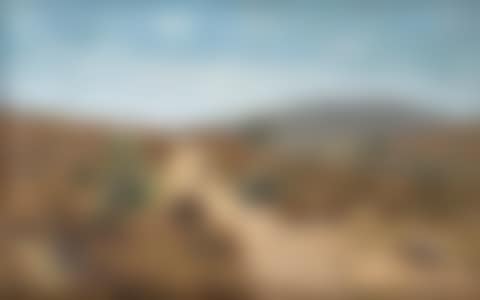 Oleander landscape (preview)