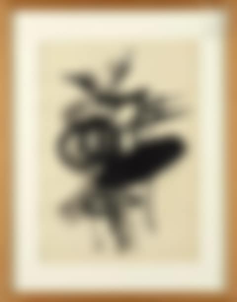 The Poppies (preview)