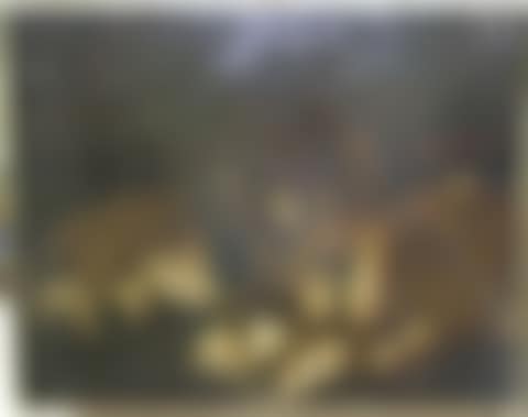 LiLion and lioness at rest (preview)
