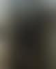 Young girl and her governess (preview)