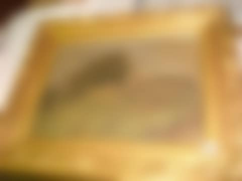 Landscape (preview)