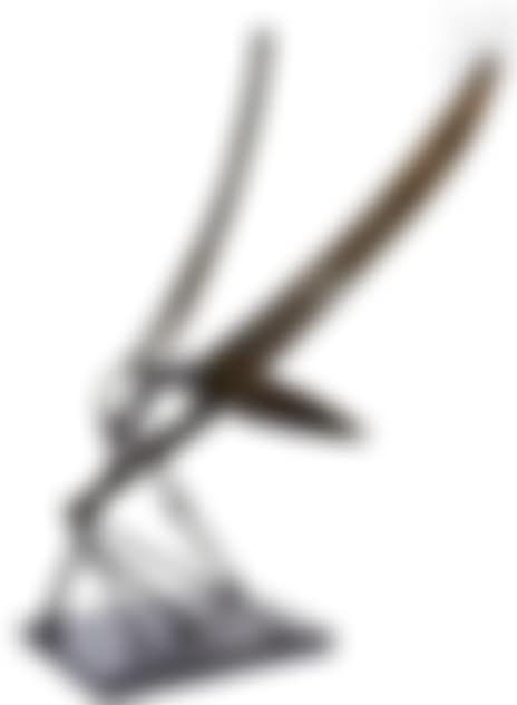 The winged insect (preview)