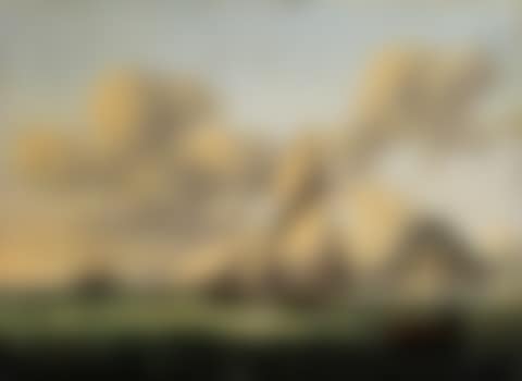 Marine (preview)