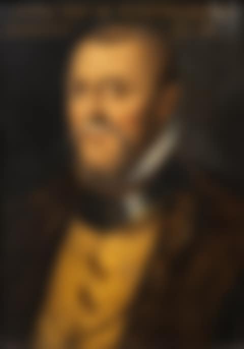 Portrait of Duke Anne de Montmorency (preview)
