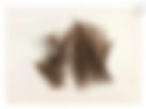 L 115 (preview)