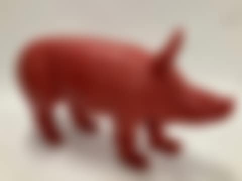 Cloned Pig (preview)