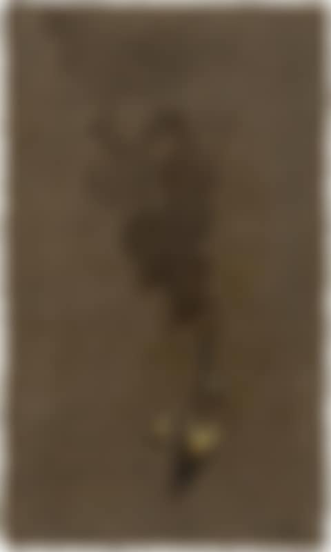 Waterdrops (preview)