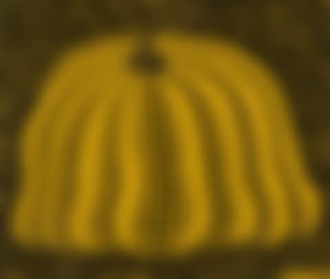 Pumpkin 2000 (Yellow) (preview)