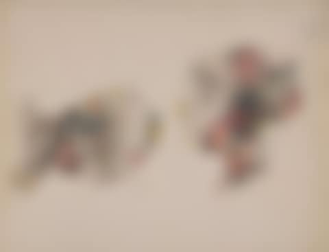 Pigeon and woman (preview)