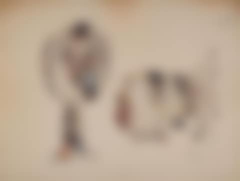 Pigeon and mirror (preview)