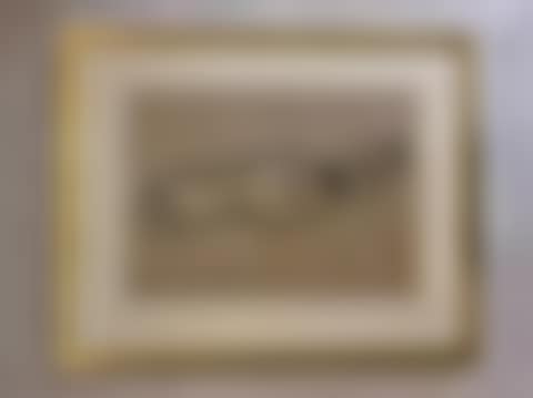 Naked woman from behind (preview)
