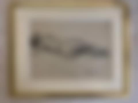 Naked woman lying down, seen from behind (preview)