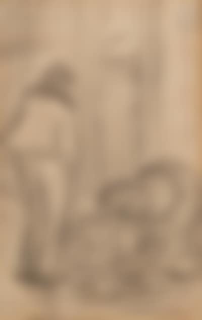 The chiffonier (preview)