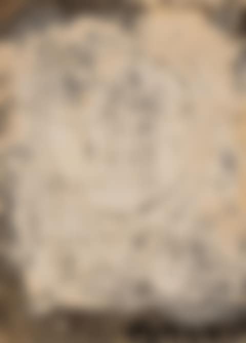 Face (preview)