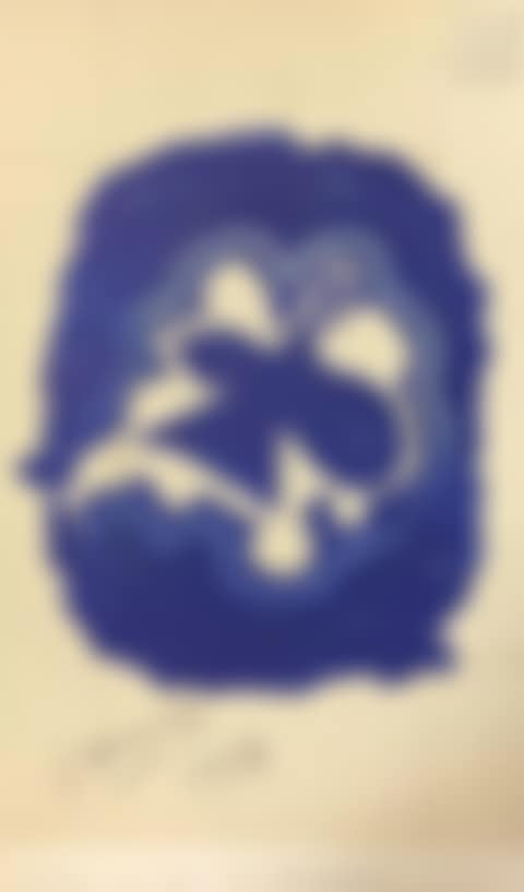 Dove (preview)