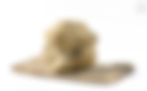 Human figure (preview)