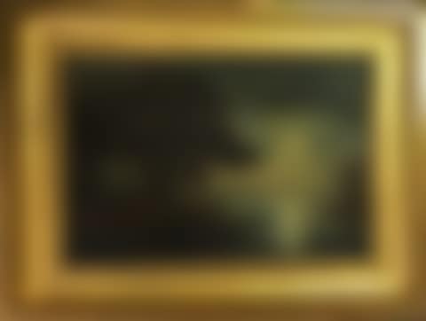 Landscape (preview)