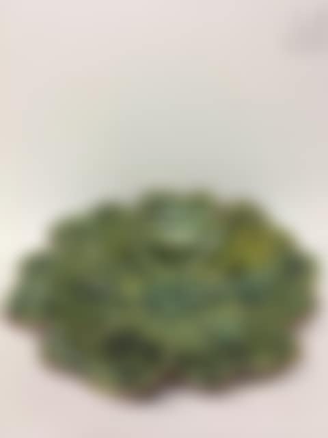 Poly-lobed polychrome enameled ceramic dish depicting lettuce (preview)