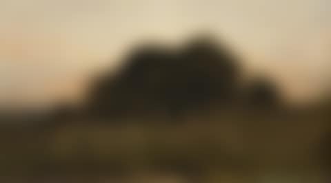 Landscape with trees (preview)