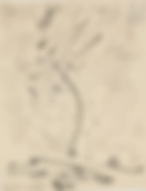 Composition (preview)