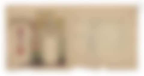 Project for a palace decor in Italy (preview)