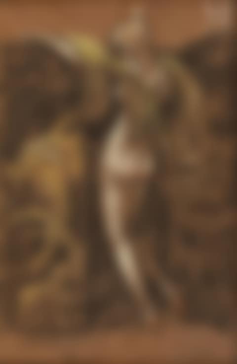 Full-length naked woman behind a screen (preview)