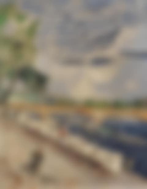 Paris, the banks of the Seine (preview)