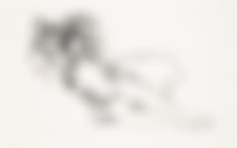 Monica Nude with Matisse (preview)