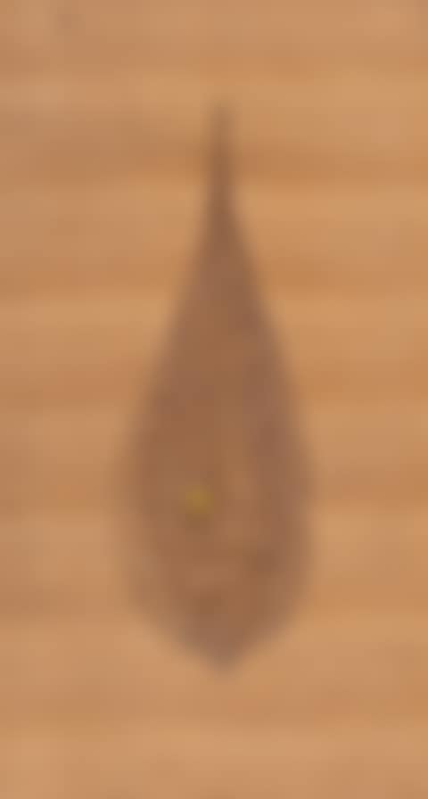 Waterdrop (preview)
