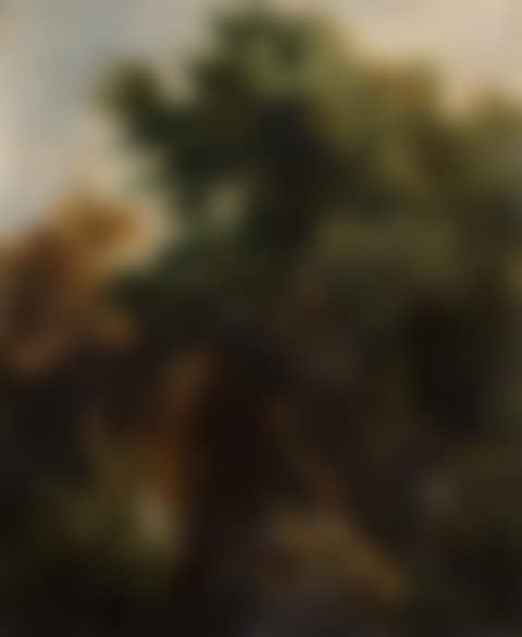 Landscape with tall trees (preview)