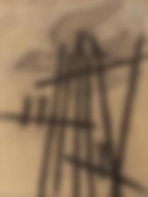 Birds (preview)