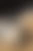 Contrario (preview)