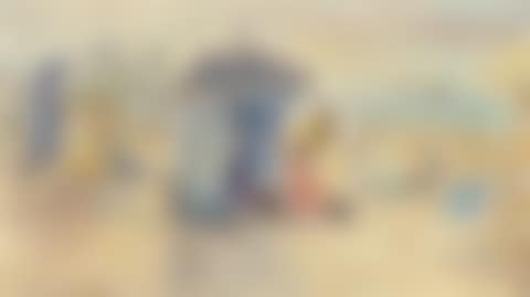 The beach in the sun (preview)