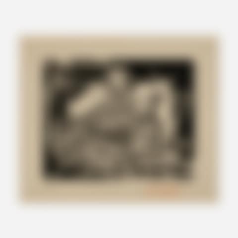 Pigeonneau (from the 40 dessins de Picasso en marge du Buffon series) (preview)