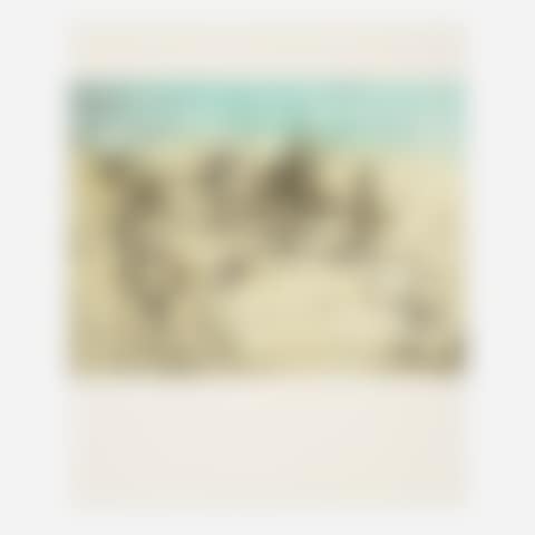 Untitled XVII (from the Come detta dentro vo significando suite) (preview)