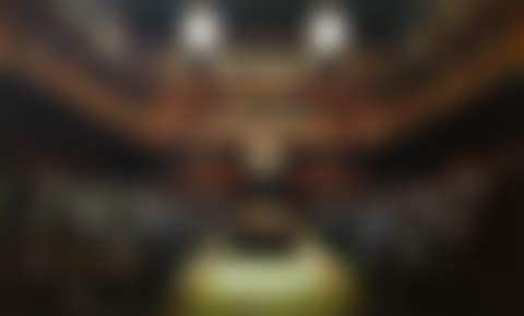 Monkey Parliament (preview)