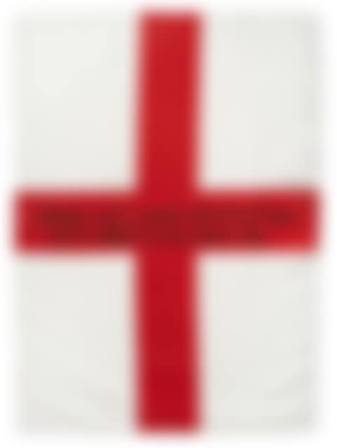 People Who Enjoy Waving Flags Don"t Deserve To Have One (preview)
