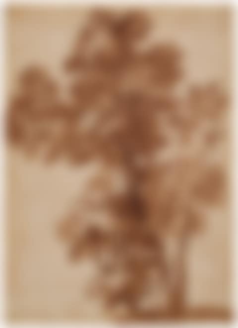 A group of trees (preview)