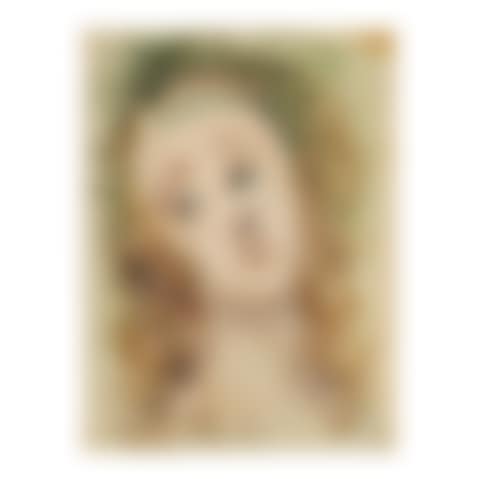 Le visage de Virgile (preview)