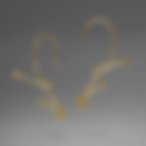 Untitled (Earrings) (preview)